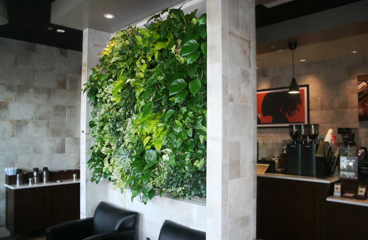 coffee-shop-living-wall.jpg