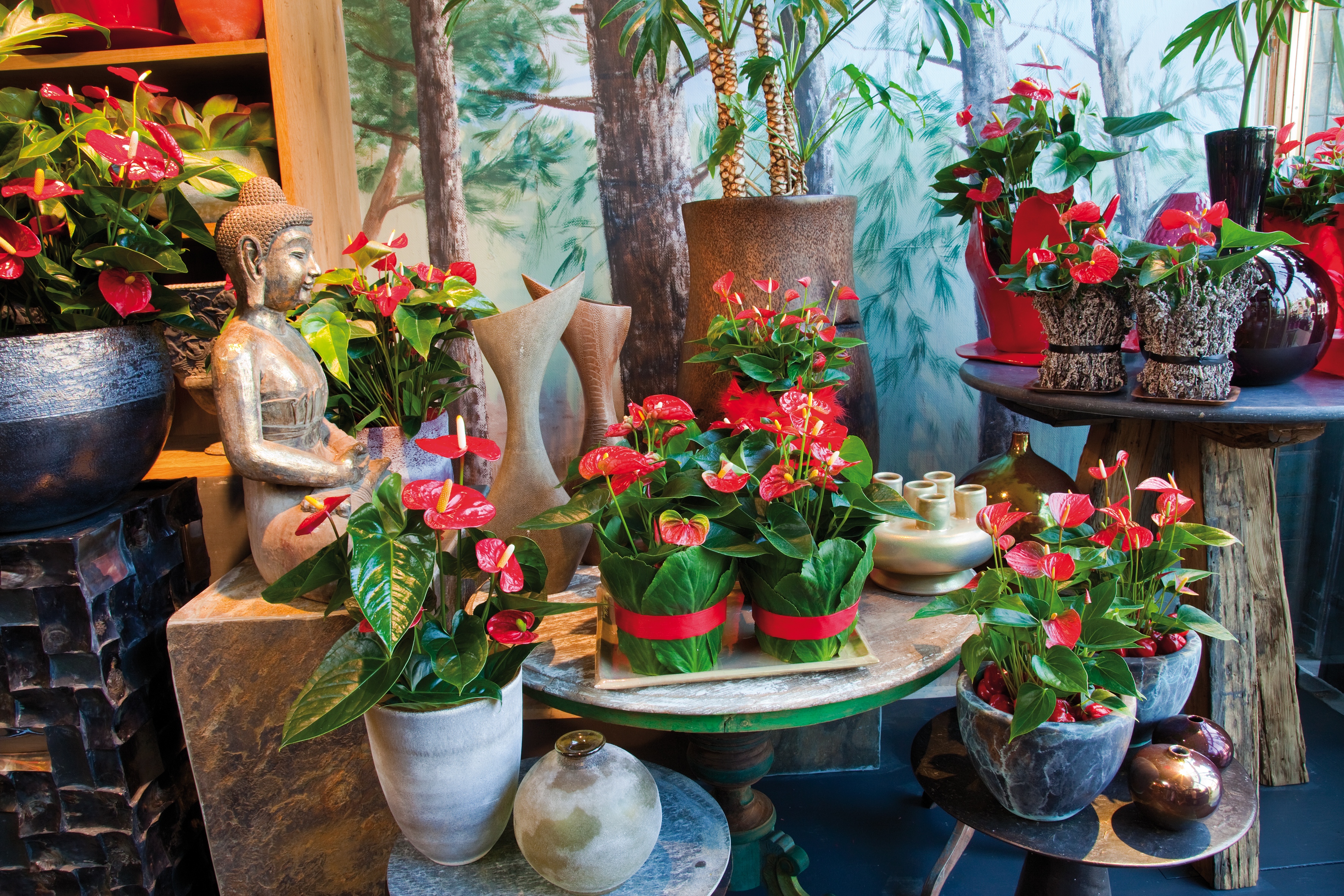 10 loại cây lọc không khí trong nhà tốt nhất 10-loai-cay-loc-khong-khi-trong-nha-tot-nhat-5.jpg