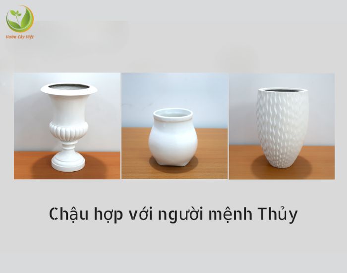 chau-hop-nguoi-menh-thuy.jpg