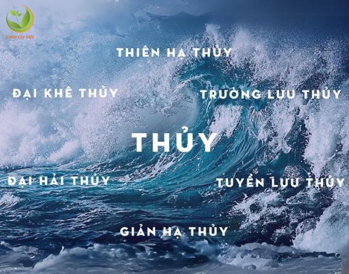 menh-thuy-1.jpg