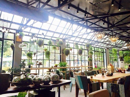 trang trí quán cafe bằng cây xanh