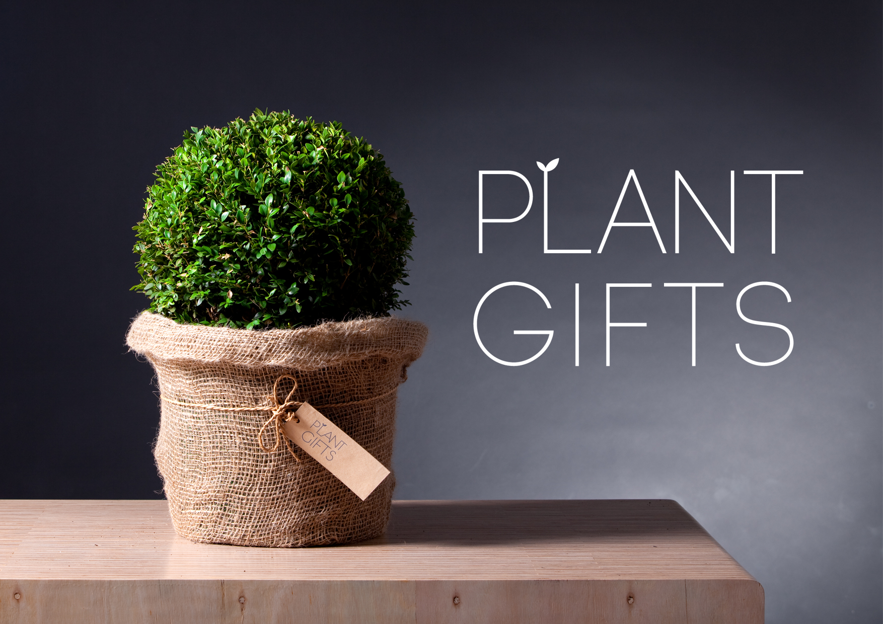 plant-gifts.jpg