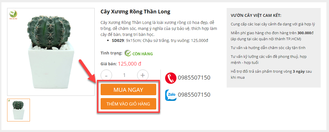3-trang-chi-tiet-san-pham.png