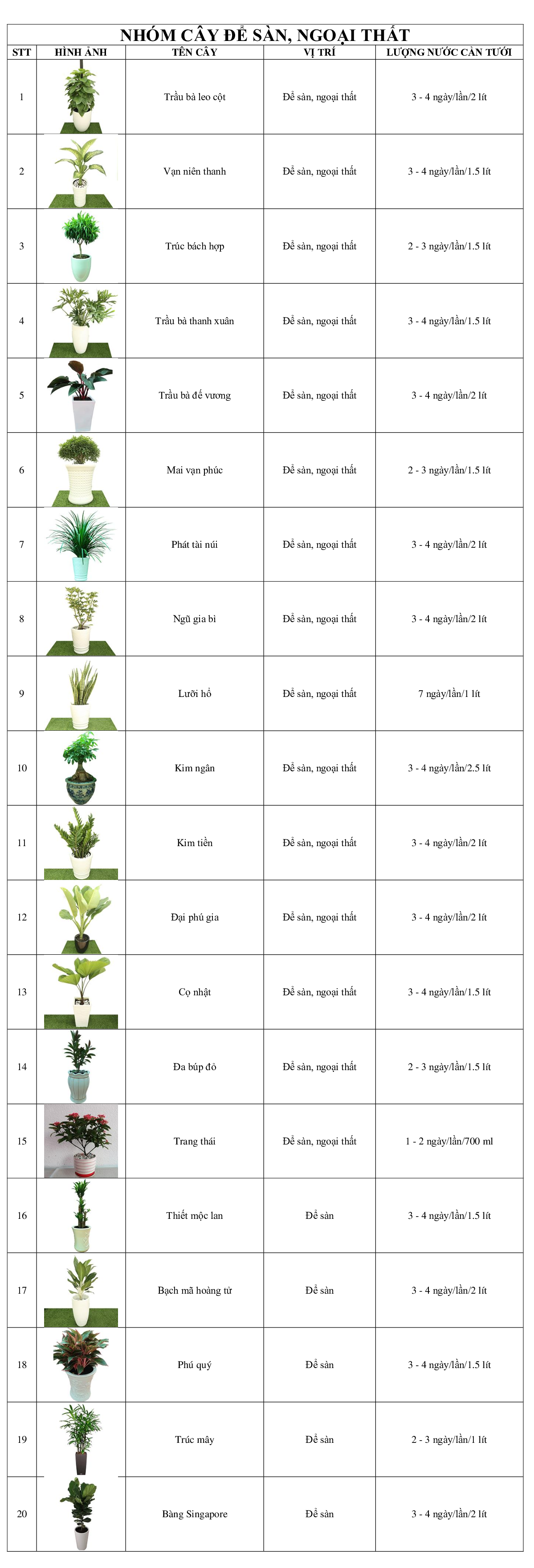 bang-tra-cuu-luong-nuoc-can-thiet-khi-cham-soc-cay-canh-de-san-ngoai-that-4.png