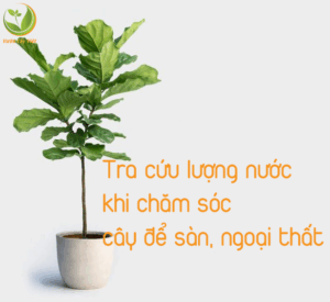bang tra cuu luong nuoc cay de san ngoai that 2