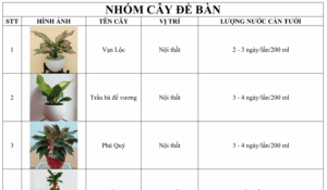 bang-tra-cuu-nuoc