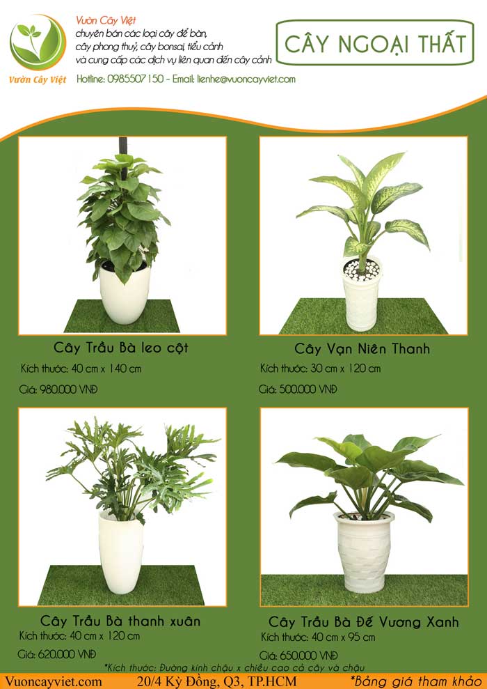 bao-gia-cay-canh-ngoai-that-vcv.jpg