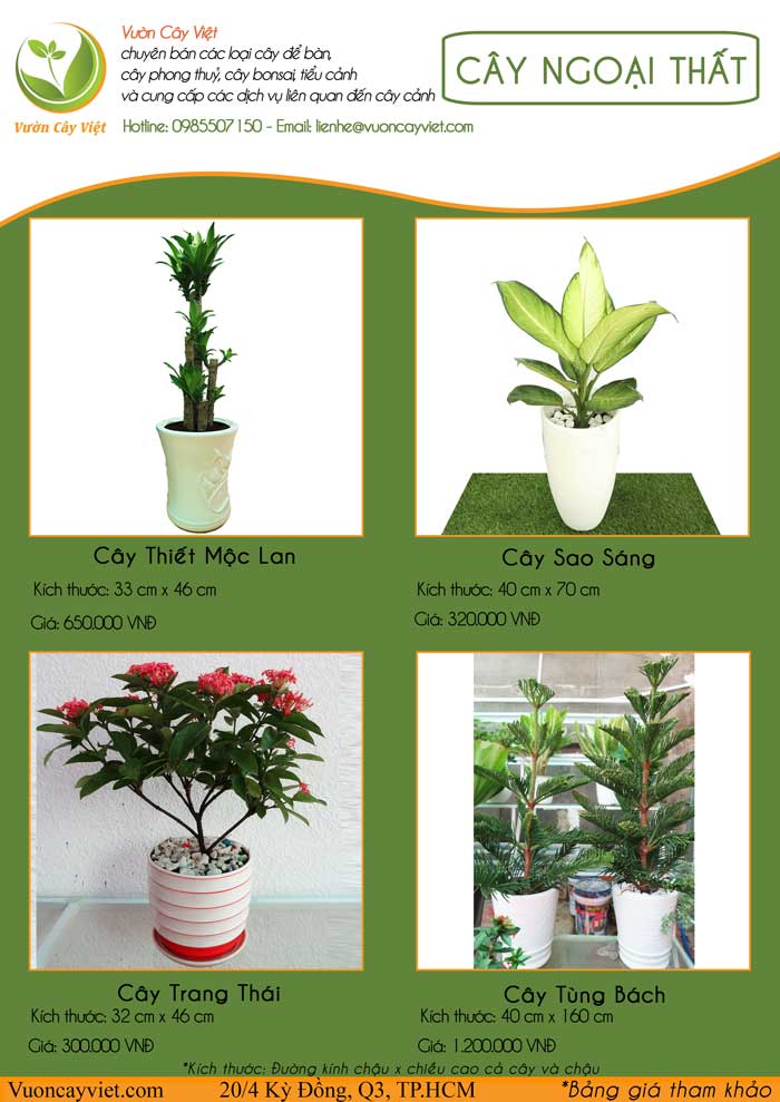 bao-gia-cay-canh-ngoai-that-vuon-cay-viet.jpg
