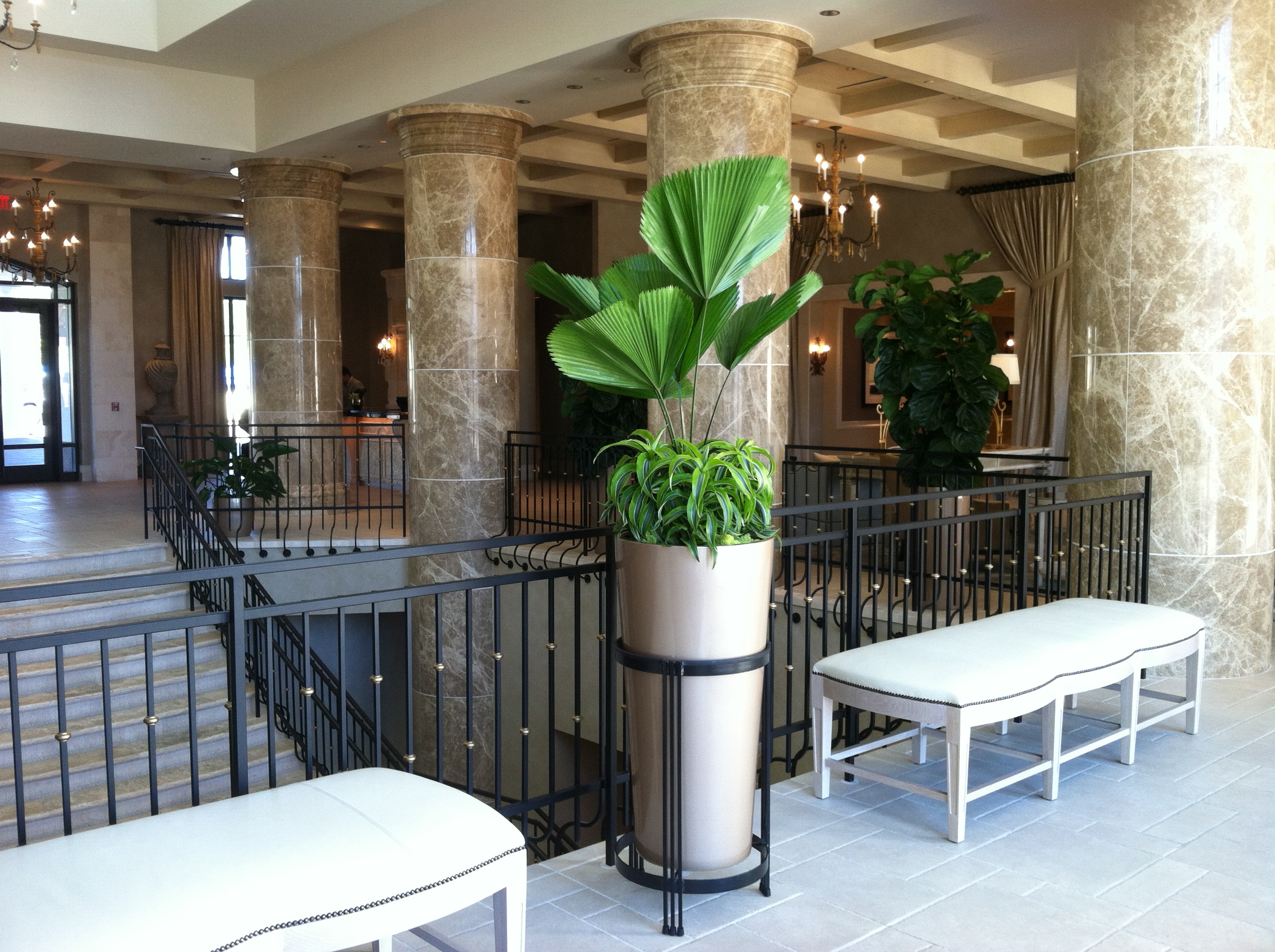 cay-canh-khach-san-Eilan_Hotel.jpg