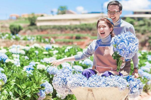 cay-canh-lam-qua-valentine-cam-tu-cau.jpg