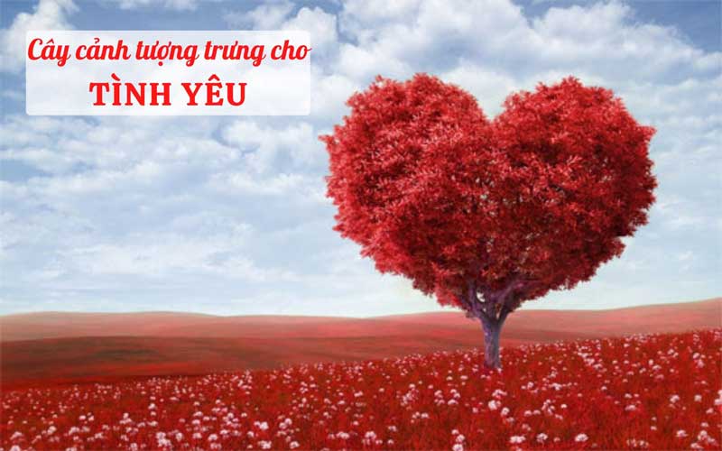 cay-canh-tuong-trung-cho-tinh-yeu.jpg