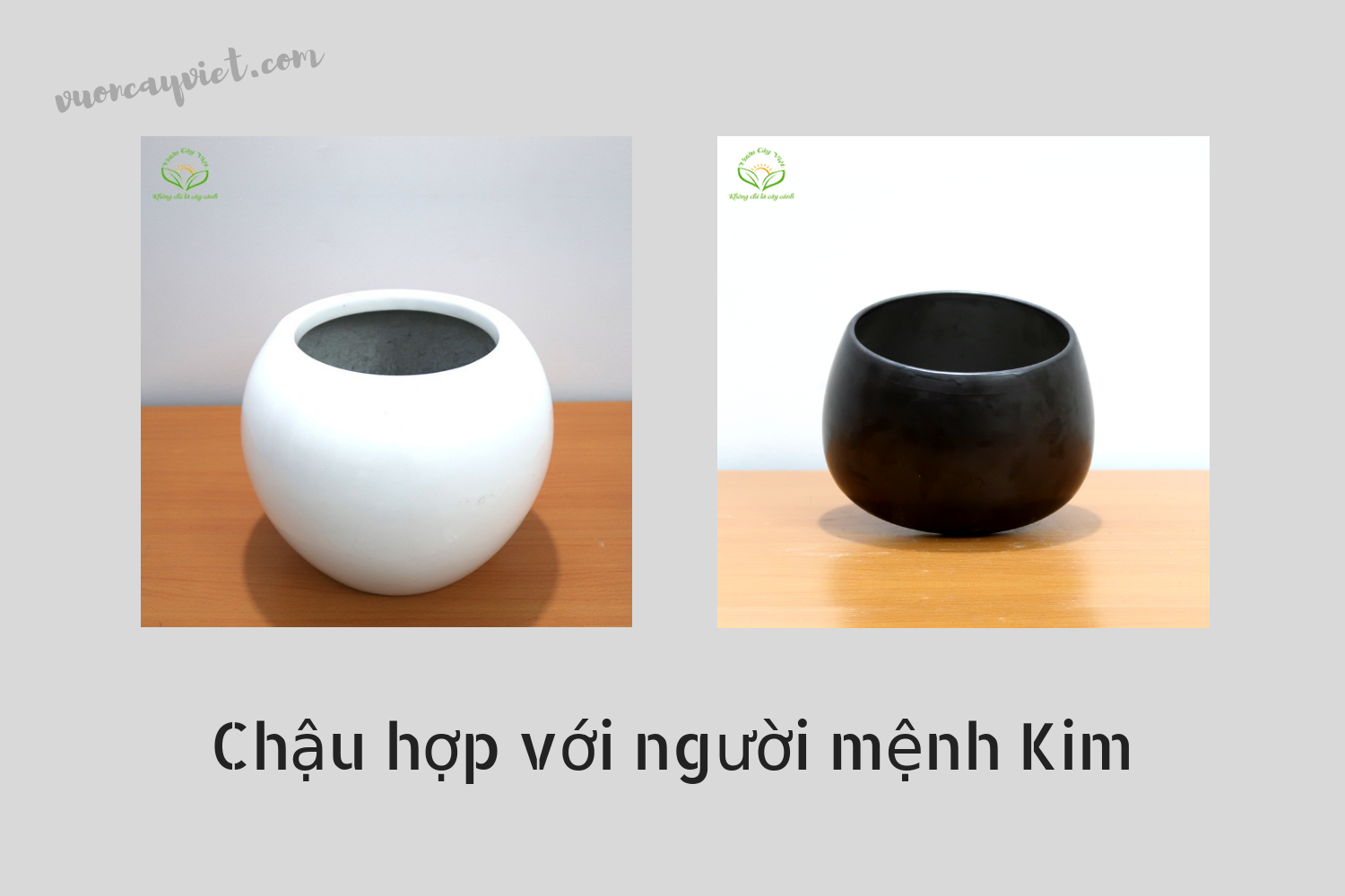 chau-hop-nguoi-menh-Kim.png