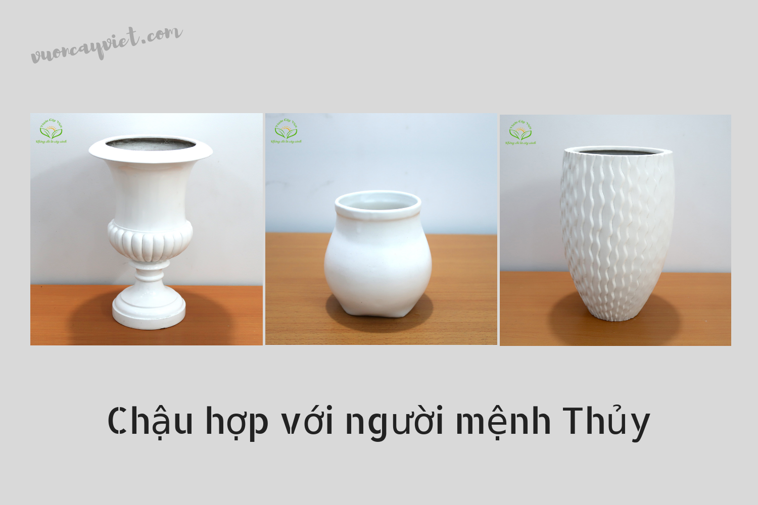 chau-hop-nguoi-menh-Thuy.png