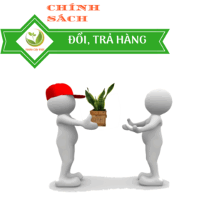 chinh sach doi tra hang vuon cay viet