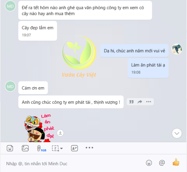 dich-vu-cho-thue-cay-canh-su-kien-khach-hang-than-thiet.png