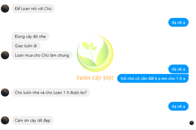 dich-vu-cho-thue-cay-canh-su-kien-khach-hang-tin-tuong-va-gioi-thieu.png
