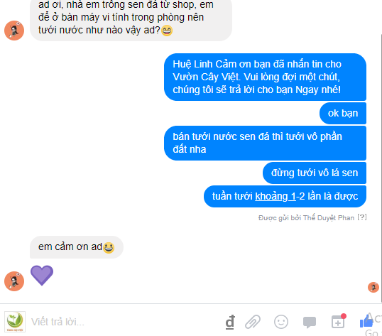 dich-vu-cho-thue-cay-canh-su-kien-tu-van-khach-hang-nhiet-tinh.png