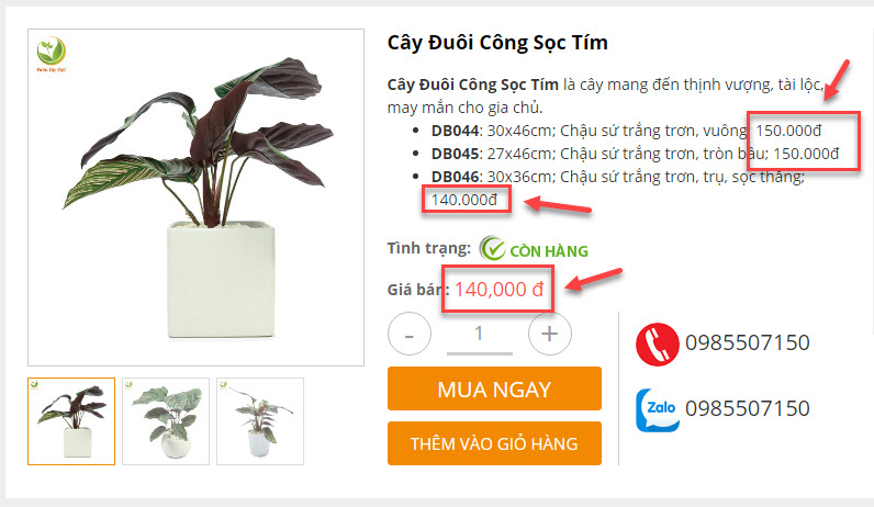 luu-y-ve-gia-san-pham.jpg