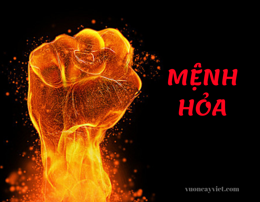 Menh-Hoa%20(1).png