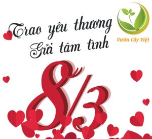 quoc-te-phu-nu-khuyen-mai-vuon-cay-viet