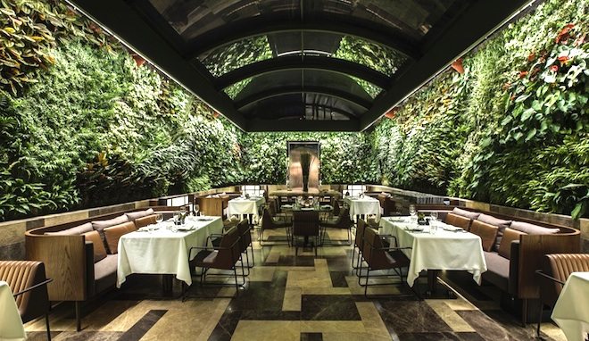Restaurant-by-plants.jpg