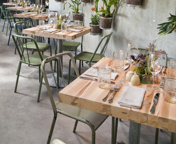 restaurant-plants.jpg